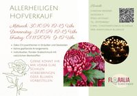 AllerheiligenHofeverkauf24